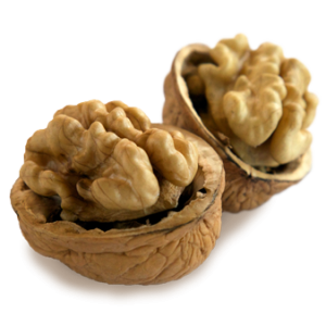 Walnut PNG