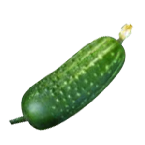 Cucumber with flower PNG