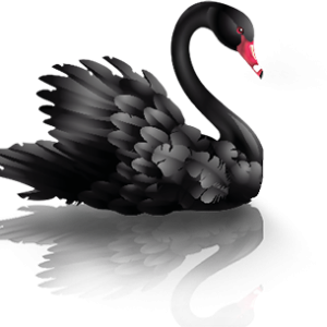 Black swan PNG