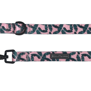 Leash PNG