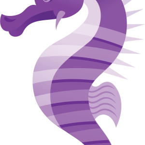 Seahorse PNG