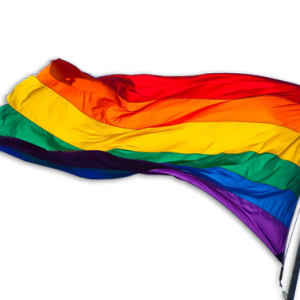LGBT flag PNG