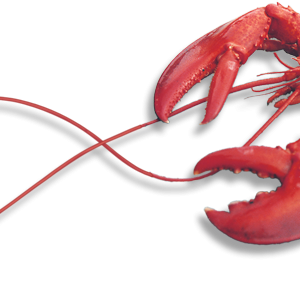 Lobster PNG
