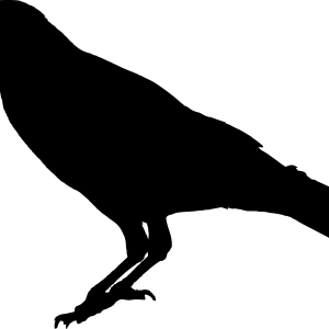 Raven PNG