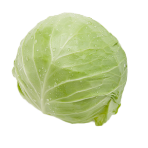 Cabbage PNG image
