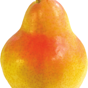 Pear PNG image