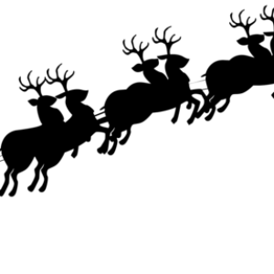 Santa sleigh PNG