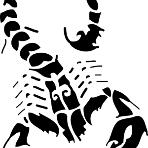 Scorpio PNG
