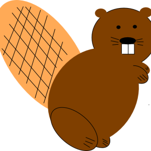 Beaver PNG