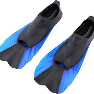 Flippers PNG