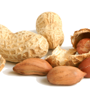 Peanut PNG