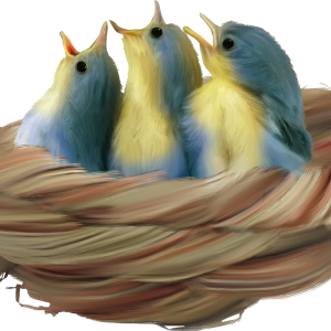 Nest PNG