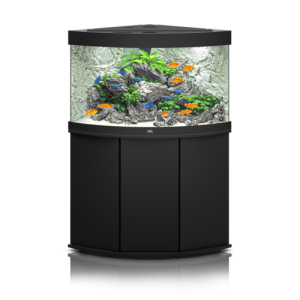 Aquarium PNG