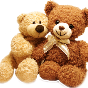 Teddy bear PNG