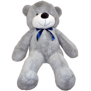 Teddy bear PNG