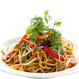 Noodle PNG