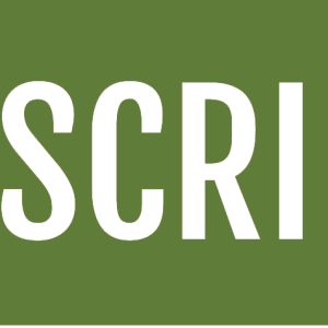 Subscribe button PNG