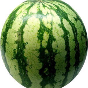 watermelon PNG image, picture, download