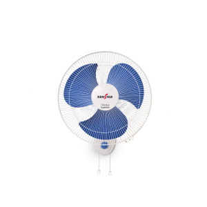 fan PNG