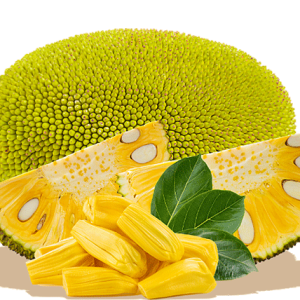 Jackfruit PNG picture