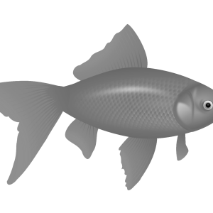 fish PNG image