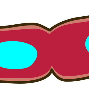 Bacteria PNG