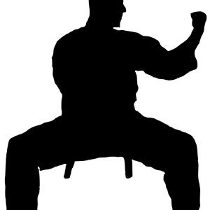 Karate siluete PNG