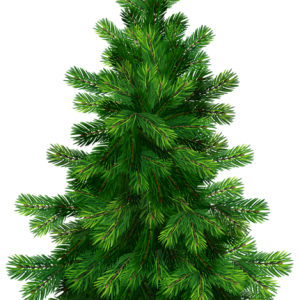 tree PNG