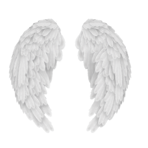 White angel wings PNG