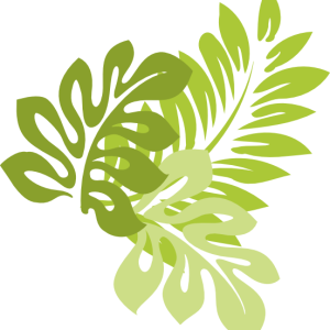 Jungle PNG