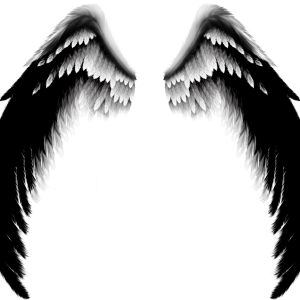 Wings PNG