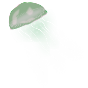 Jellyfish PNG