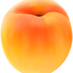 Big apricot PNG image