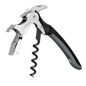 Corkscrew PNG