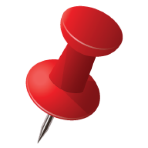 Pin PNG