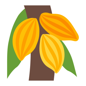Cacao PNG