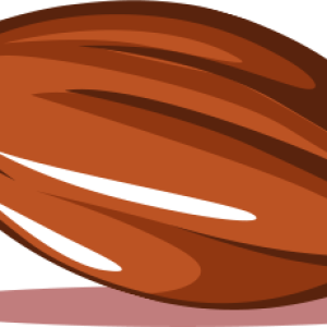 Cacao PNG
