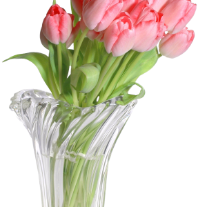 Vase PNG