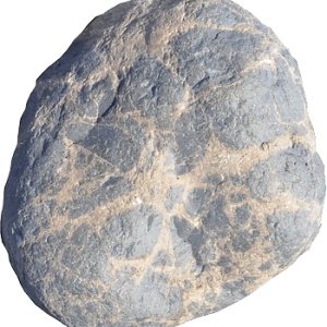Stone PNG