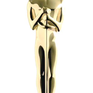Academy Awards PNG, the Oscars PNG
