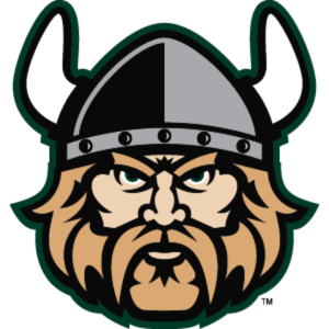 Viking head PNG