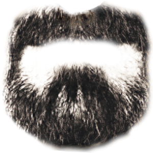 Beard PNG image