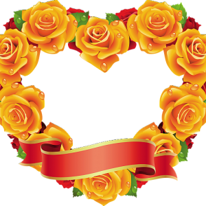 Picture, photo frame PNG