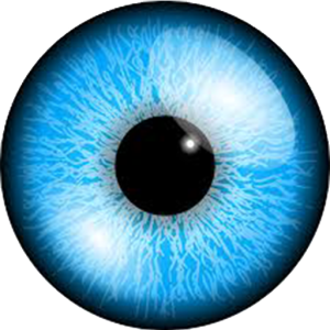 Eye PNG