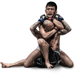 Mixed martial arts PNG, MMA PNG