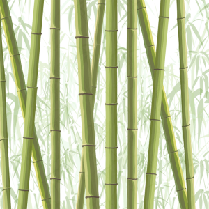 Bamboo PNG