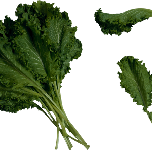 Salad PNG image