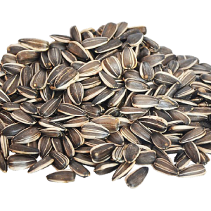 Sunflower seeds PNG