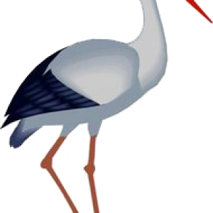 Stork PNG