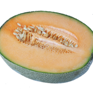 Melon PNG